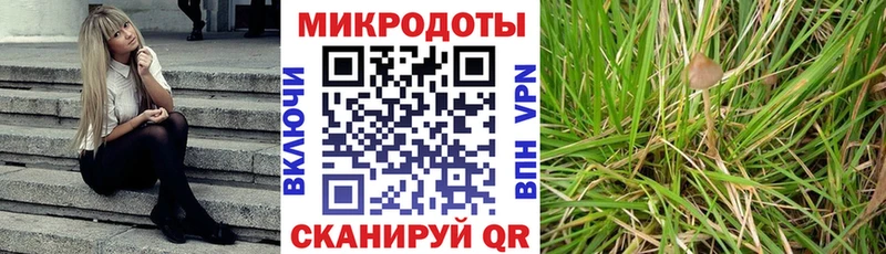 Псилоцибиновые грибы мицелий хочу наркоту Горячий Ключ